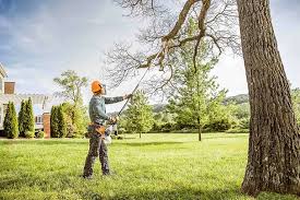 Best Lawn Renovation and Restoration  in Ringwood, NJ