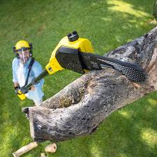 Best Tree Trimming and Pruning  in Ringwood, NJ