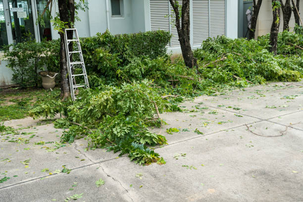 Best Weed Control  in Ringwood, NJ