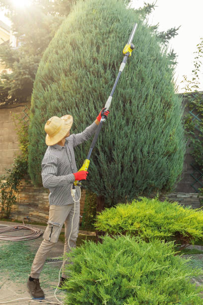Best Arborist Consultation Services  in Ringwood, NJ