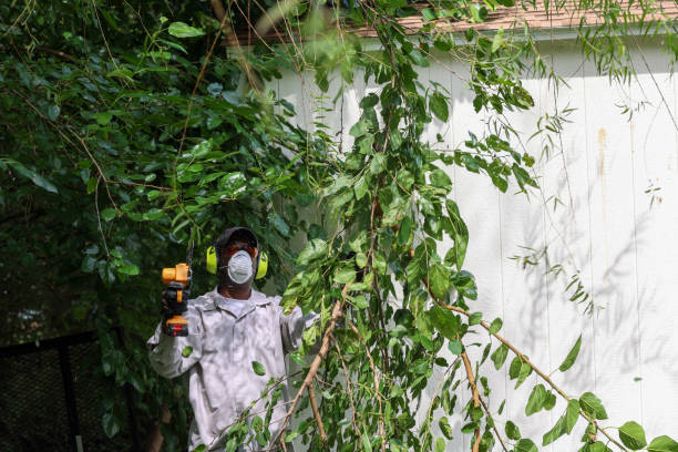 Best Hazardous Tree Removal  in Ringwood, NJ